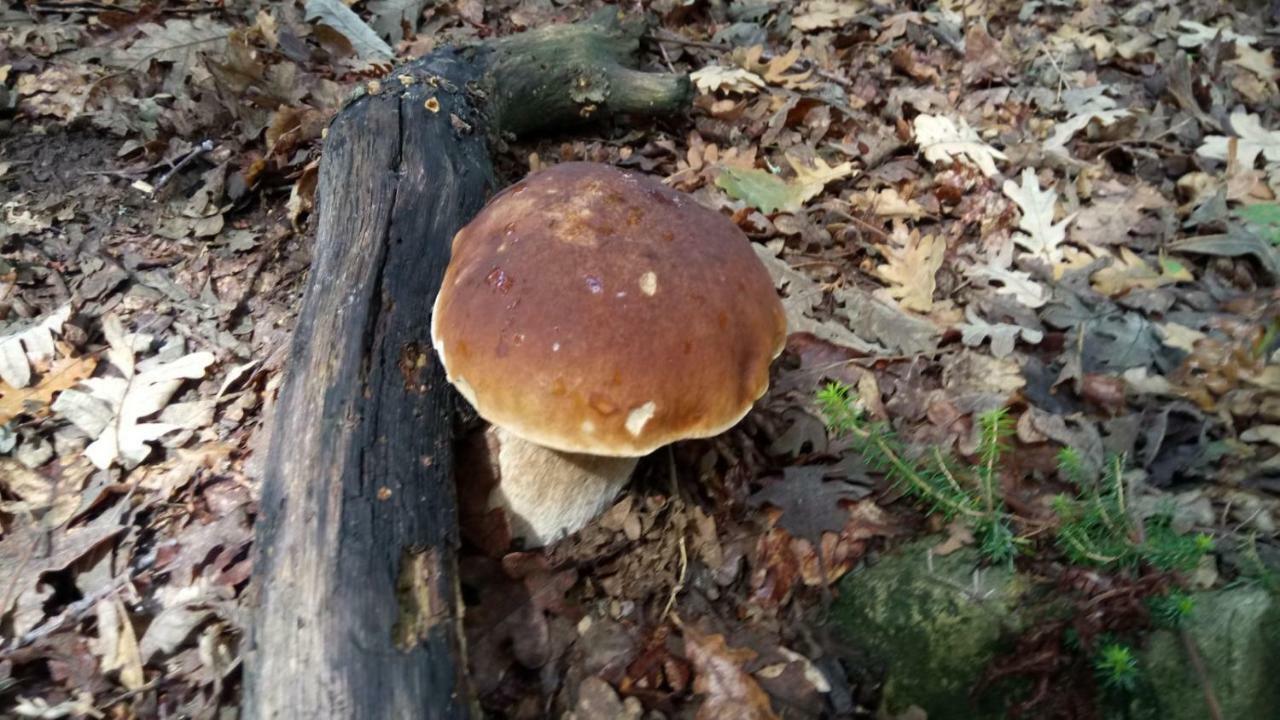 Casa Rural Eguzkilore Laukiz Zewnętrze zdjęcie